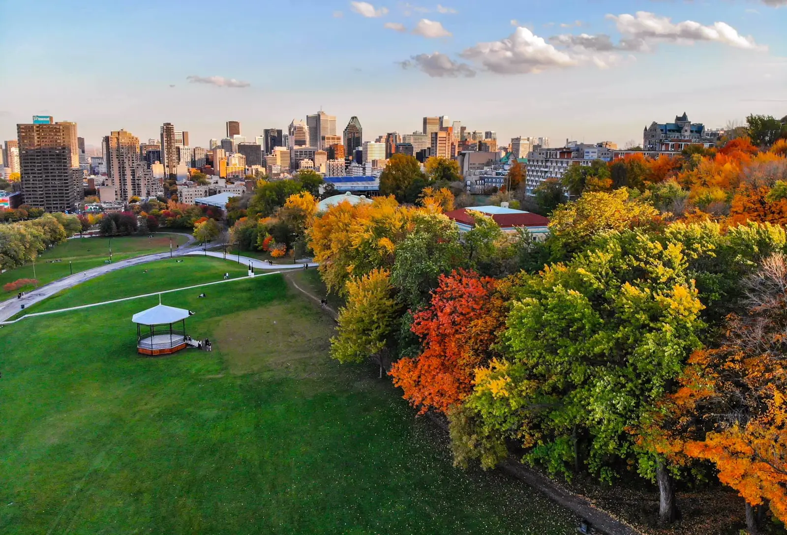 Un parc aux arbres d’automne devant le centre-ville de Montréal